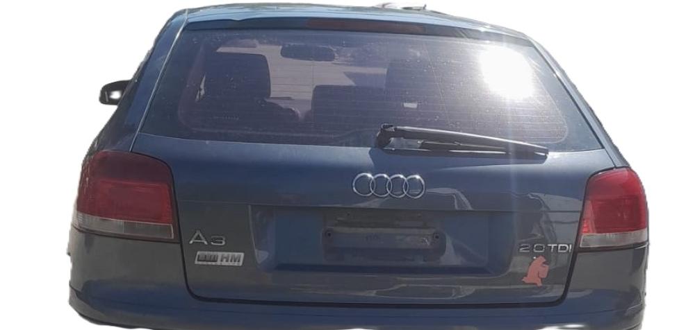 PORTON TRASERO AUDI A3 2.0 TDI