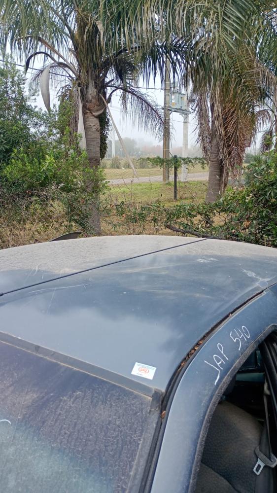 TECHO RENAULT CLIO 5 PTAS PACK