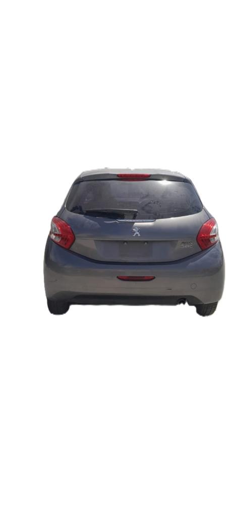 PORTON TRASERO PEUGEOT 208